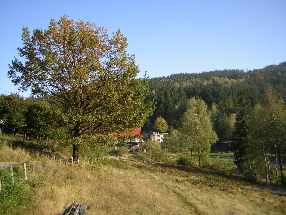 Pokoje Goscinne Angelika Wisla Luaran gambar
